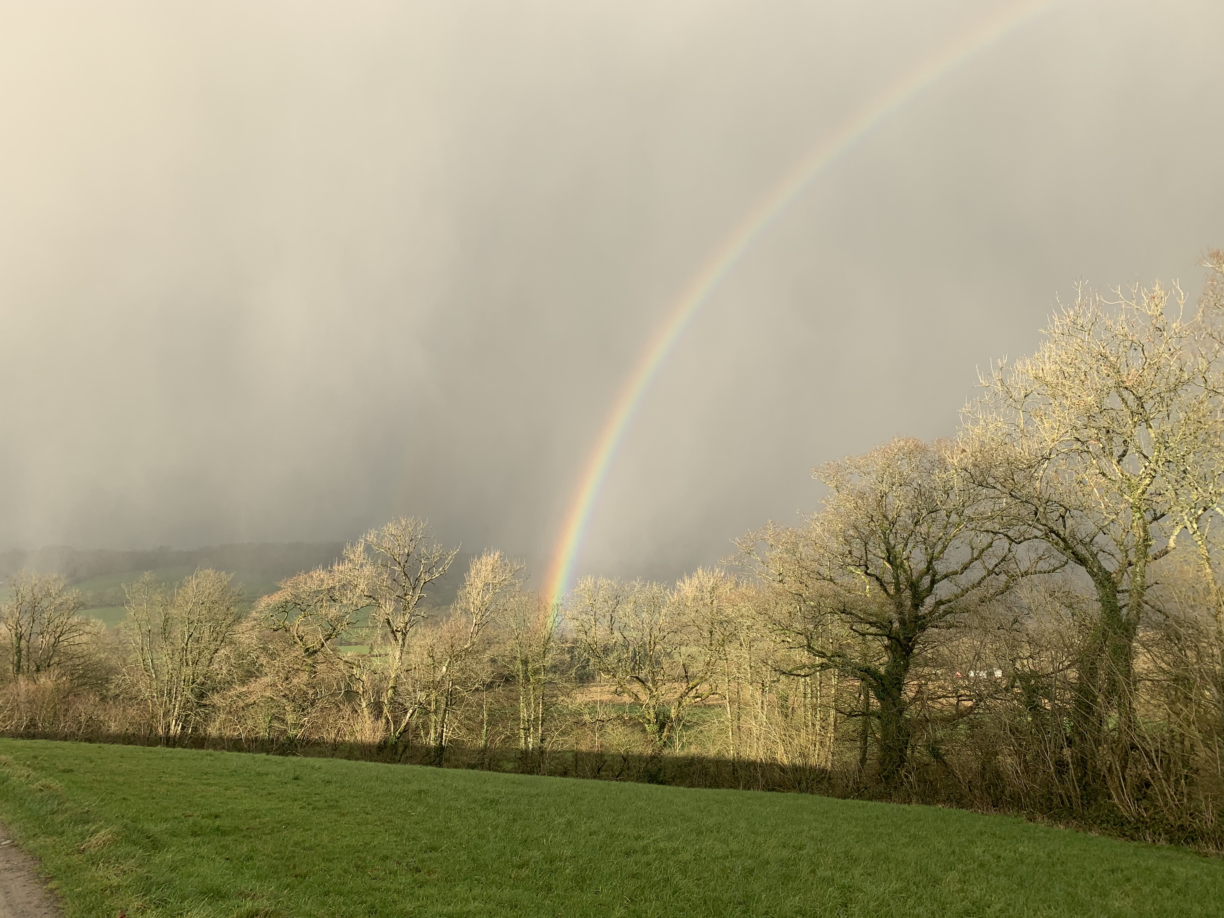 West Wales background